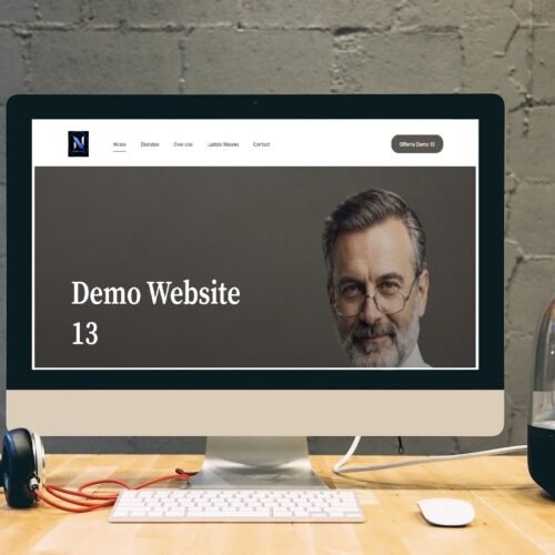 Demo Website 13