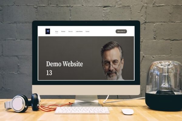 Demo Website 13